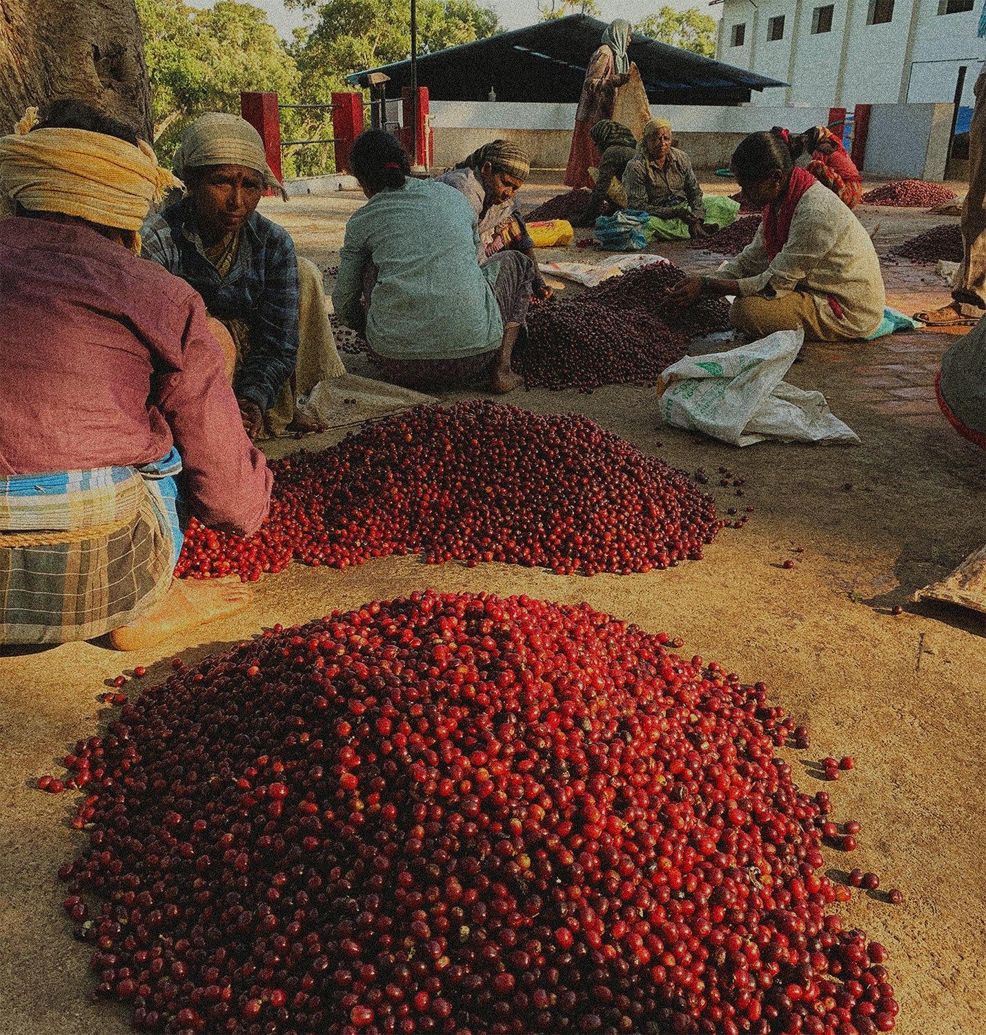 India | Ratnagiri