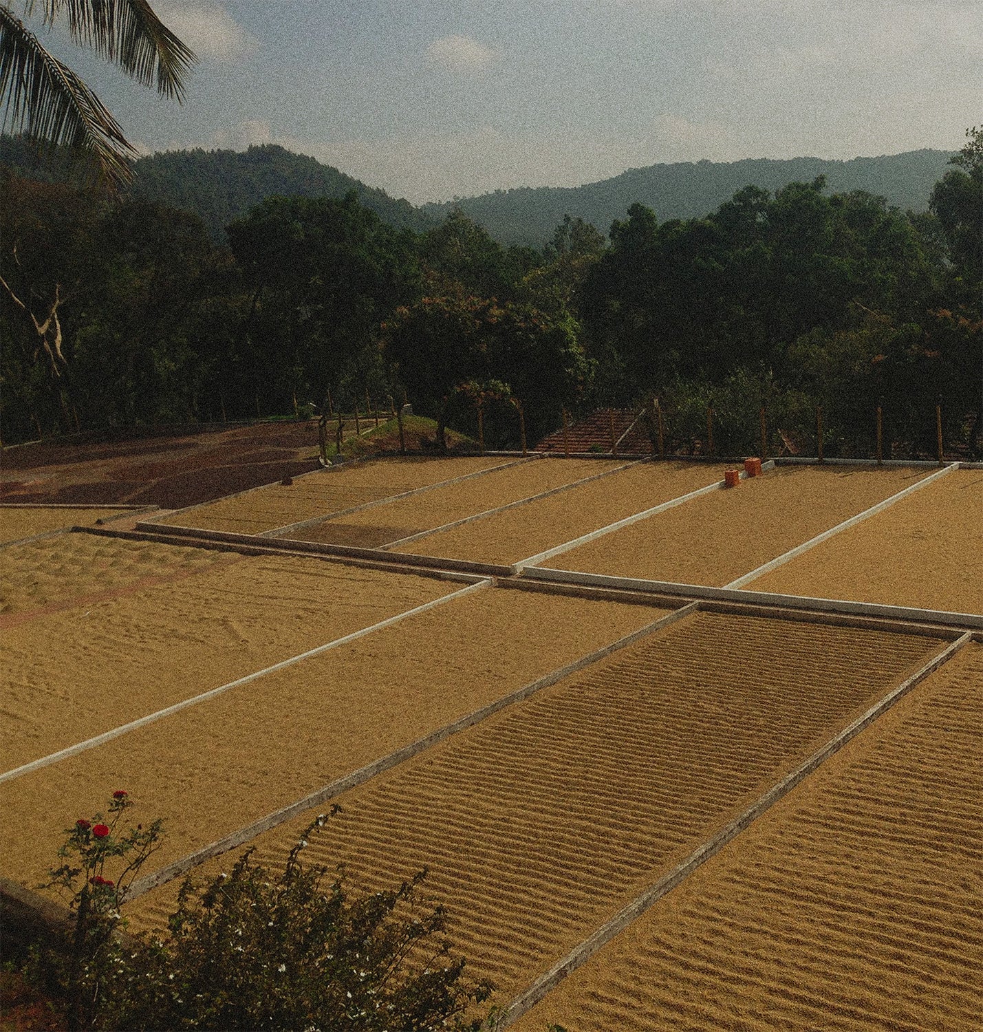 India | Ratnagiri