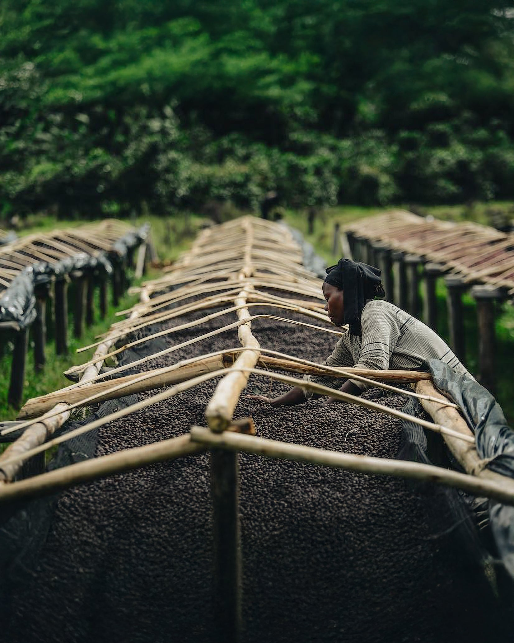 Ethiopia | Aleta Wendo