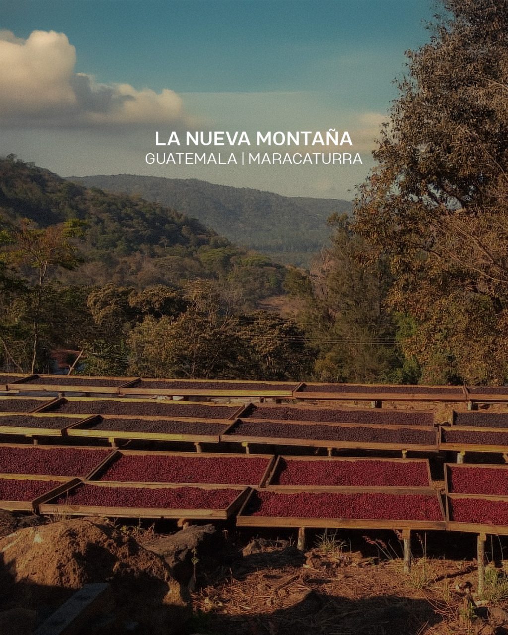 Instagram post from hiday.coffee. This post is in position 0.