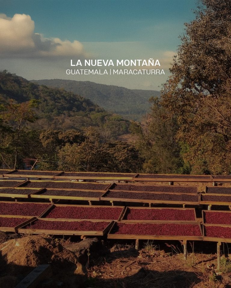 Instagram post from hiday.coffee. This post is in position 1.