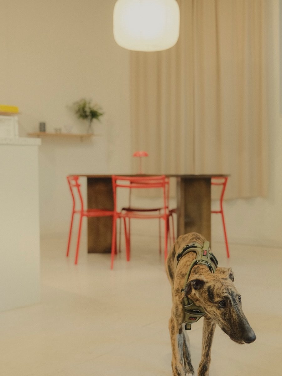 Instagram post from hiday.coffee. This post is in position 0.