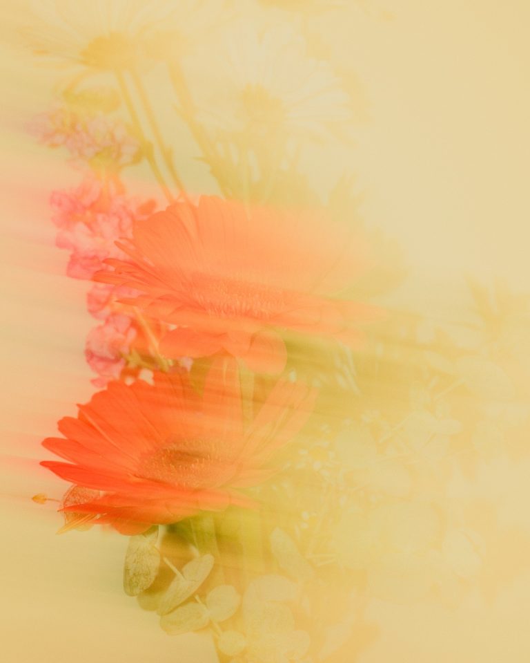 Instagram post from hiday.coffee. This post is in position 2.