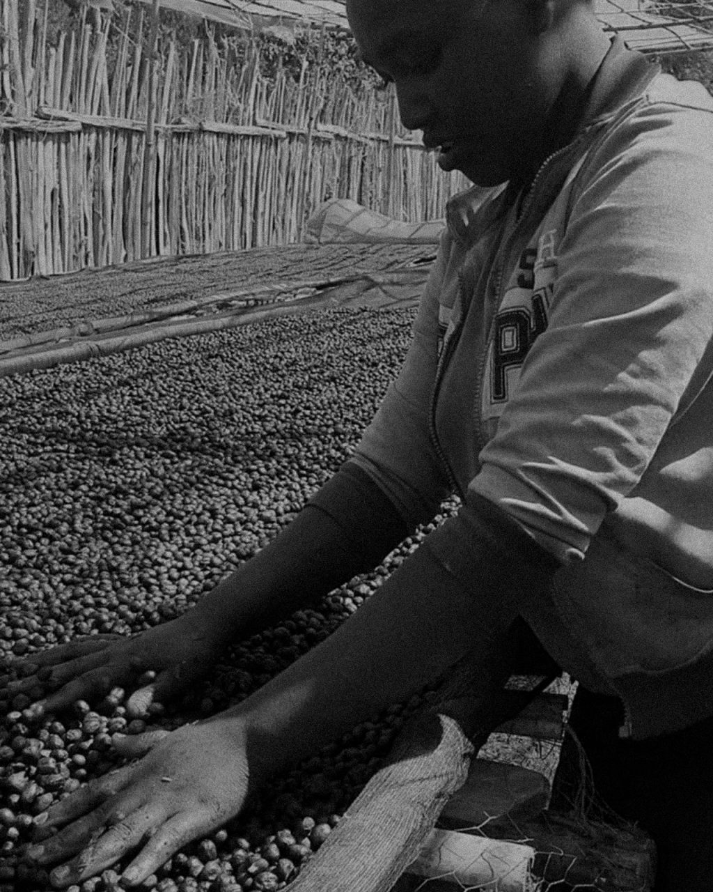 Instagram post from hiday.coffee. This post is in position 1.