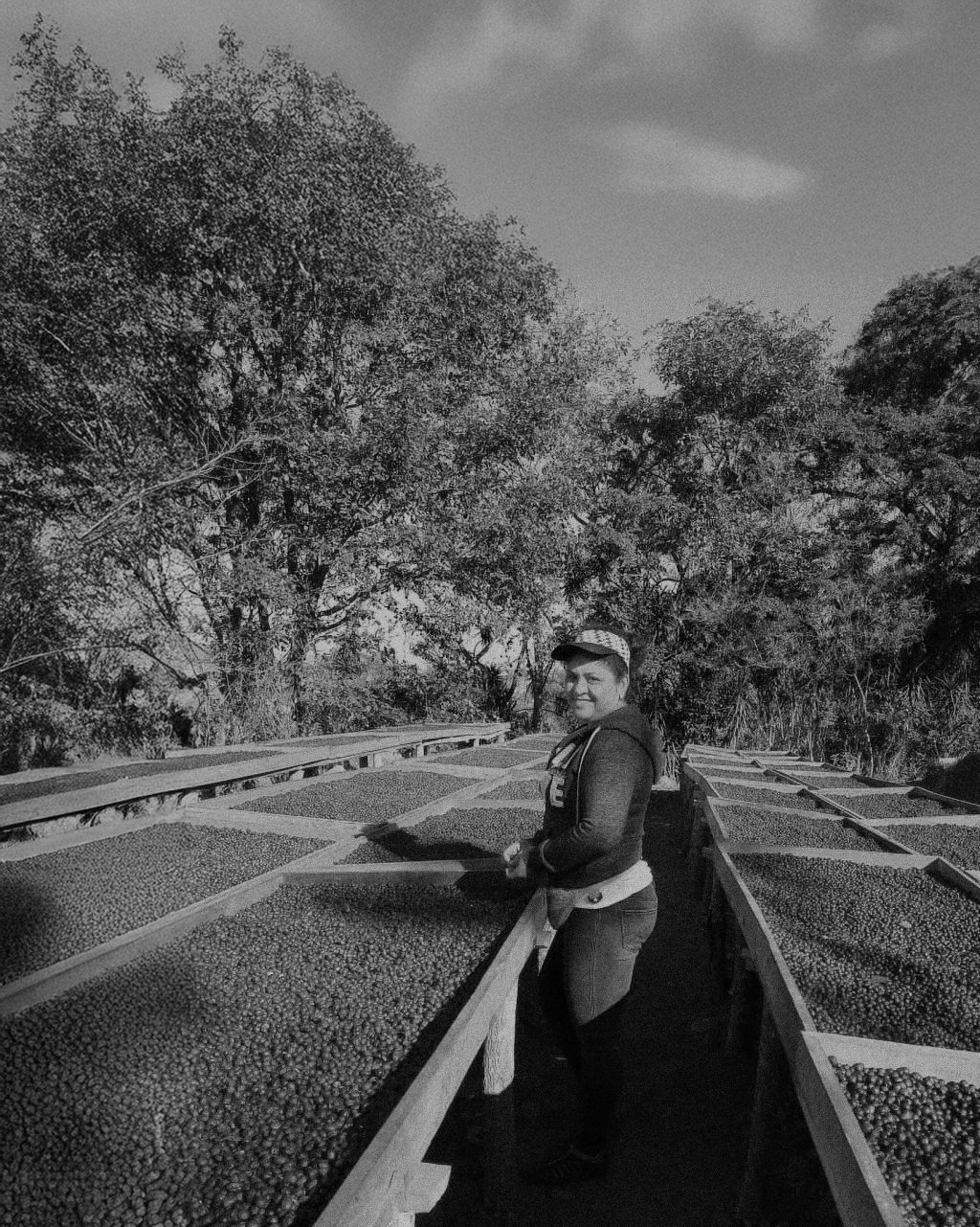 Instagram post from hiday.coffee. This post is in position 2.