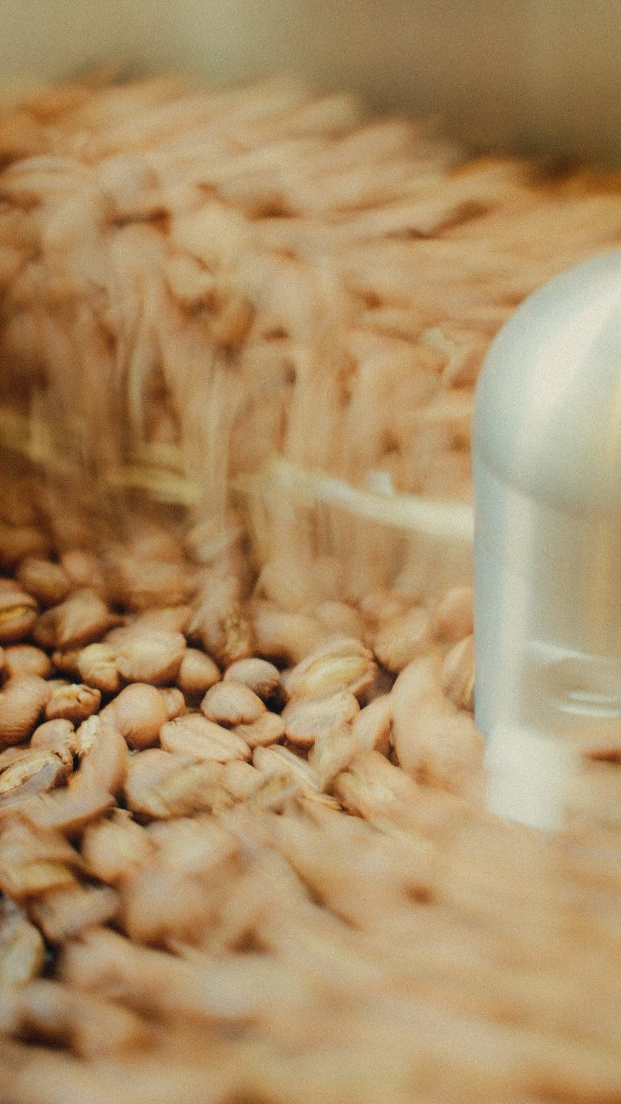 Instagram post from hiday.coffee. This post is in position 2.