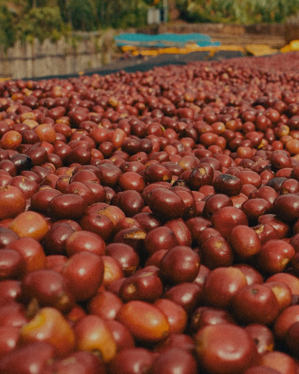 Instagram post from hiday.coffee. This post is in position 6.